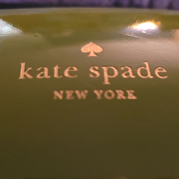 Kate Spade Glasses Case Green Wink Case - Picture 7 of 7